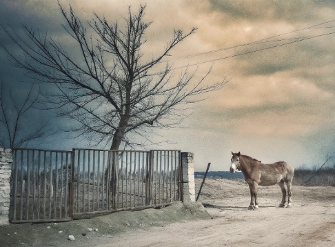 Vivivenda del Gaucho – El Rancho